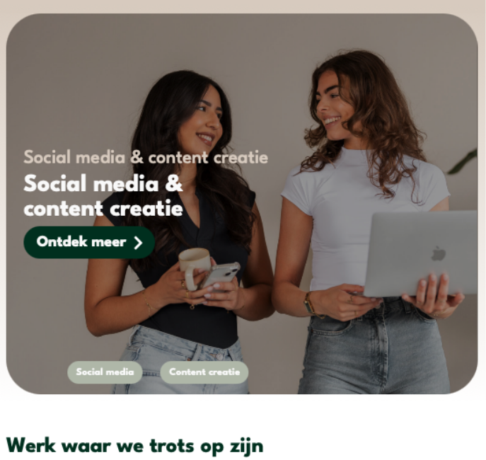 Web ontwikkeling Drip Online