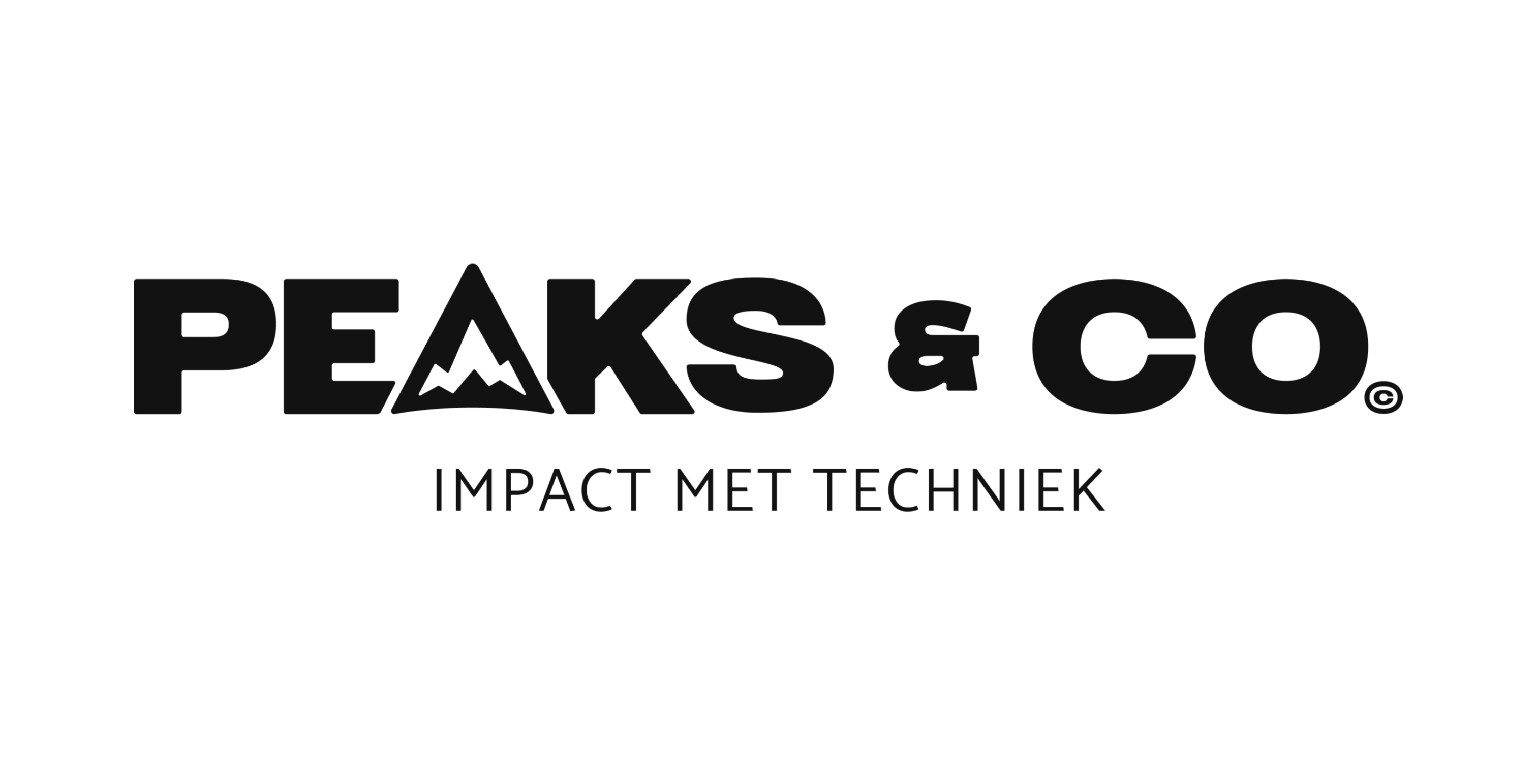 Logo Peaks & Co